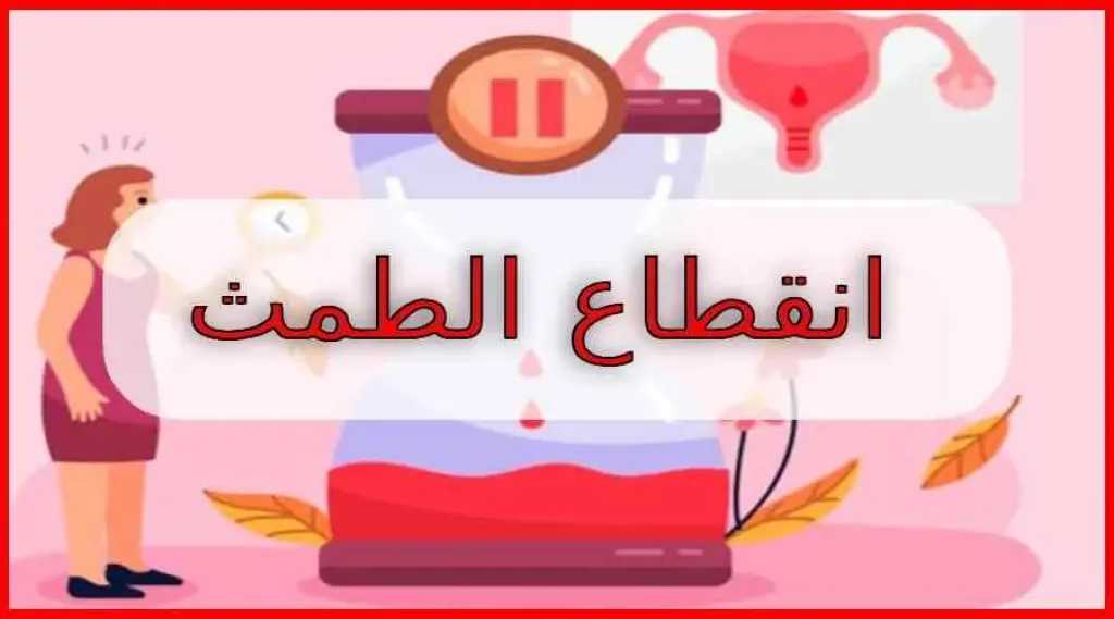 الأخبار