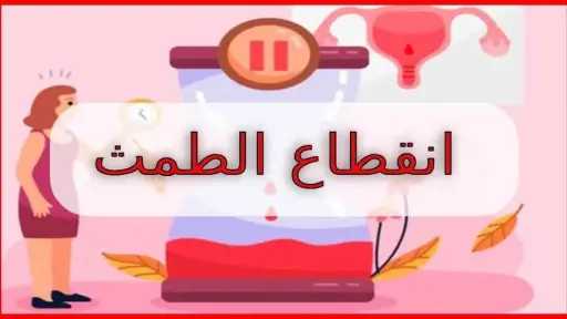 الأخبار