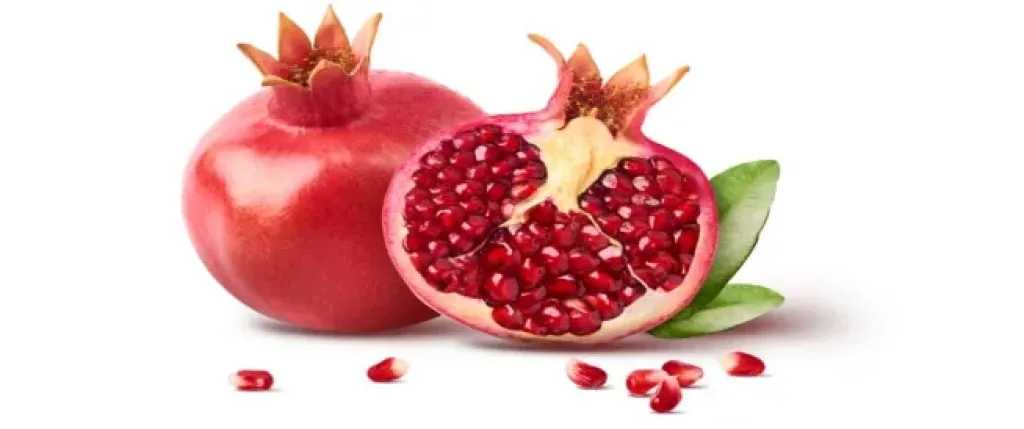 الأخبار