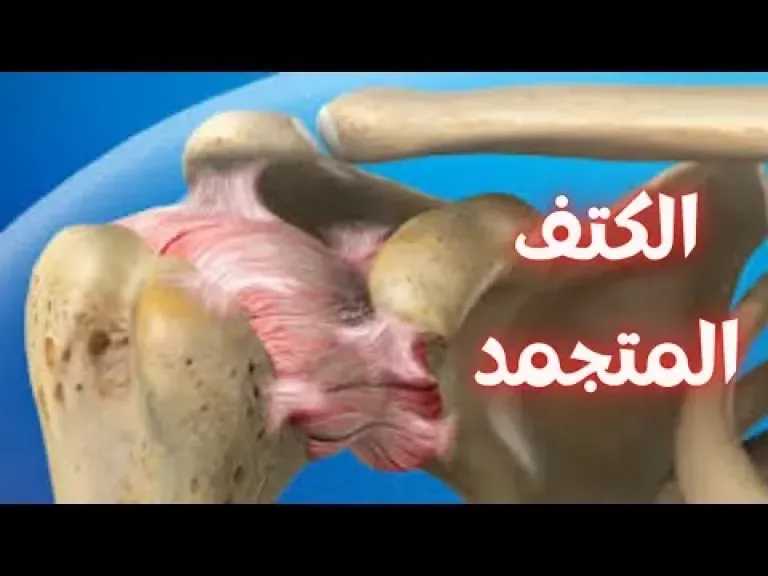 الأخبار
