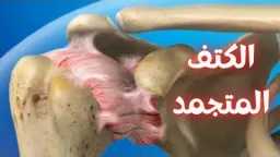 الأخبار