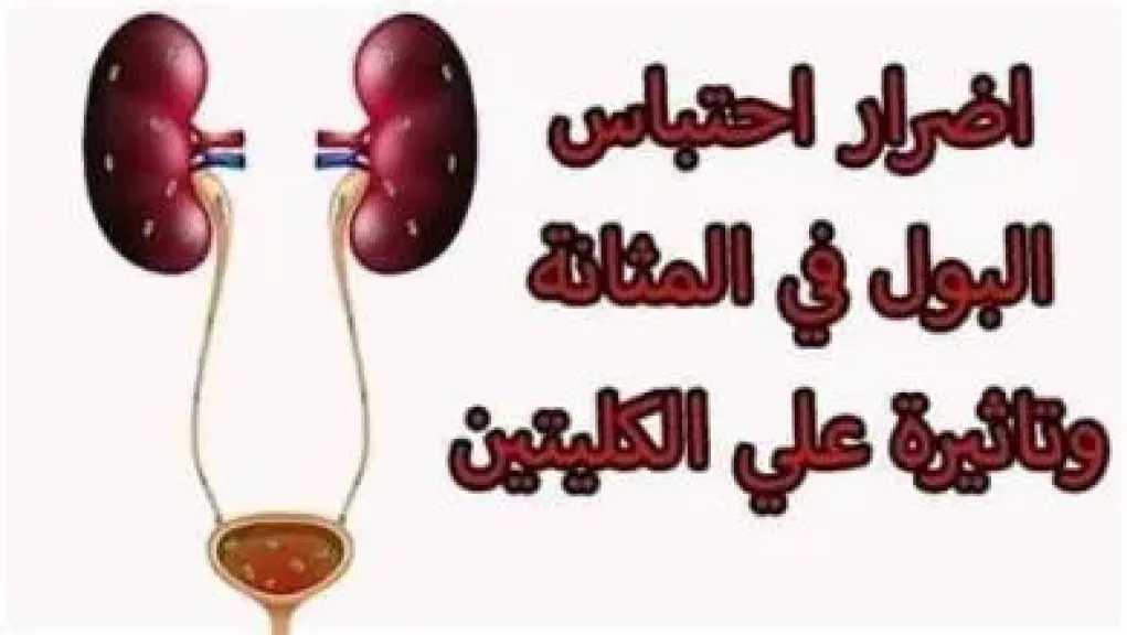 الأخبار
