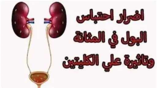 الأخبار