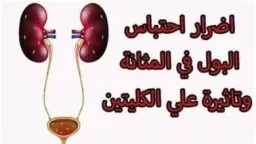 الأخبار