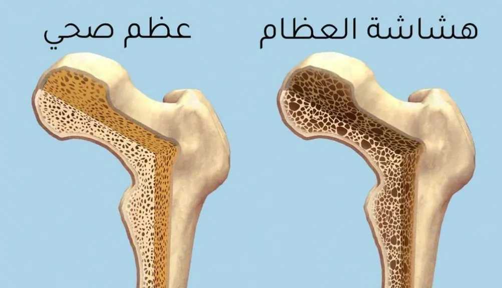 الأخبار