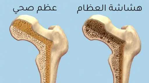 الأخبار