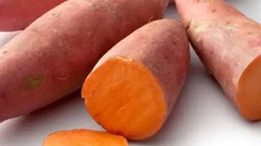 الأخبار