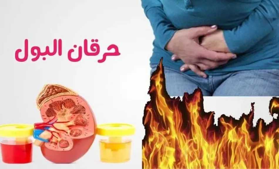 الأخبار