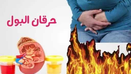 الأخبار