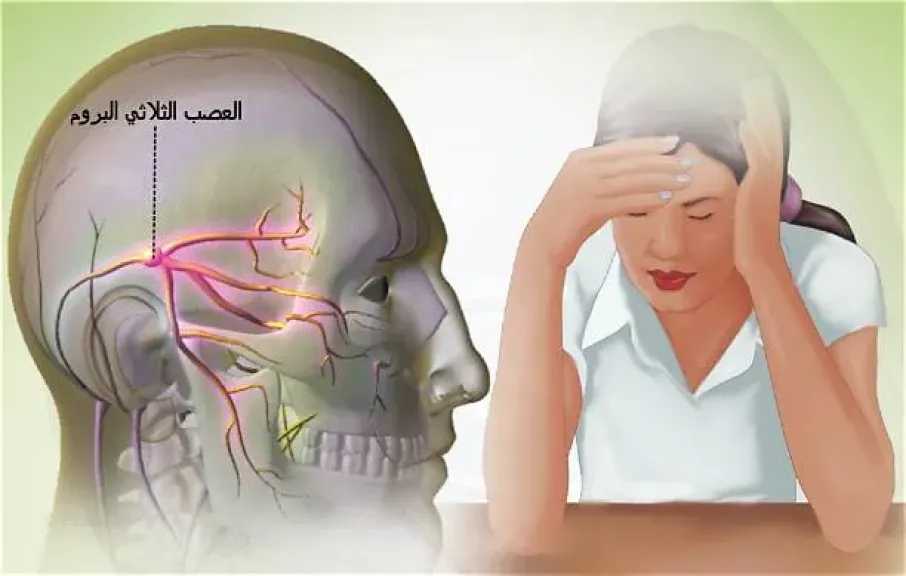الأخبار