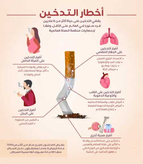 الأخبار