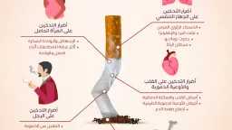 الأخبار