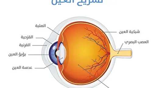 الأخبار